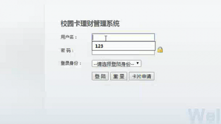 【毕设】jsp872校园卡理财管理系统sqlserver毕业设计