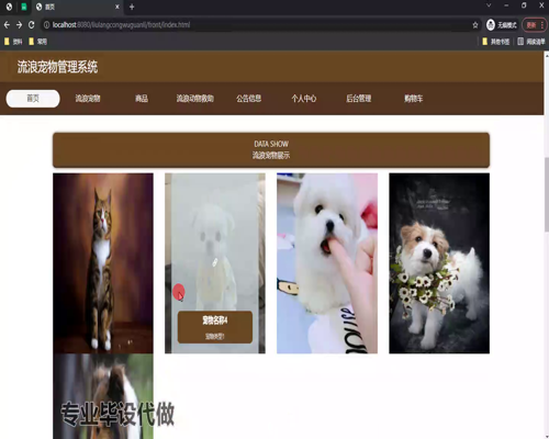 毕设springboot179基于javaweb的流浪宠物管理系统的毕业设计